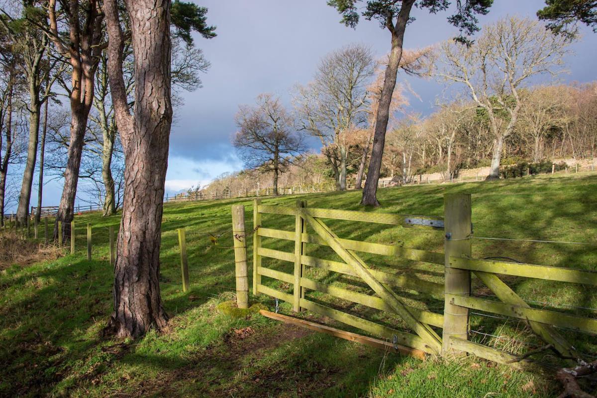 Stunning Stables Cottage In East Lothian Country Estate 北贝里克 外观 照片